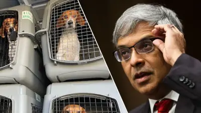 NIH closes experimentation labs accused of brutally killing thousands of beagles for 40+ years